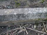 image of grave number 281514